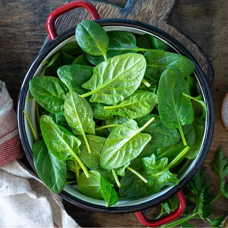 Spinach (Palong)