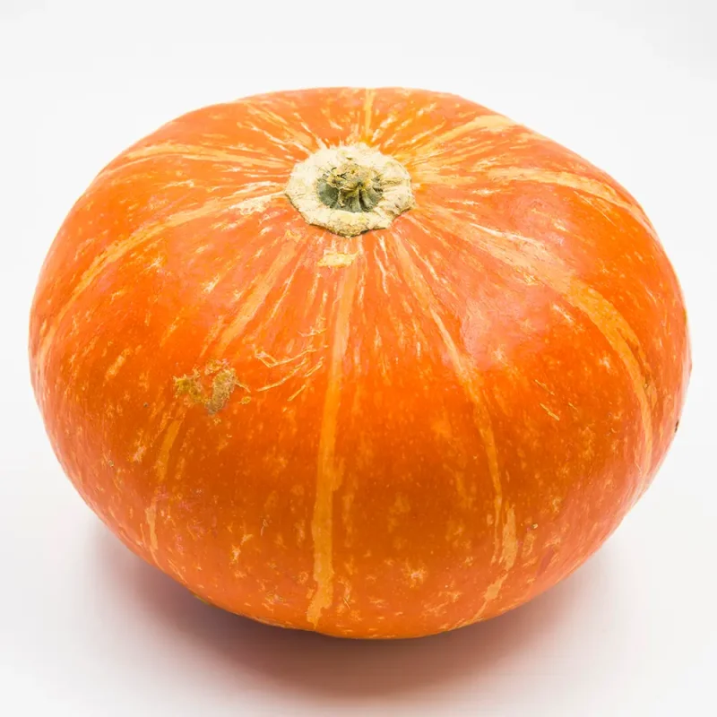 Pumpkin (Misti Kumra)
