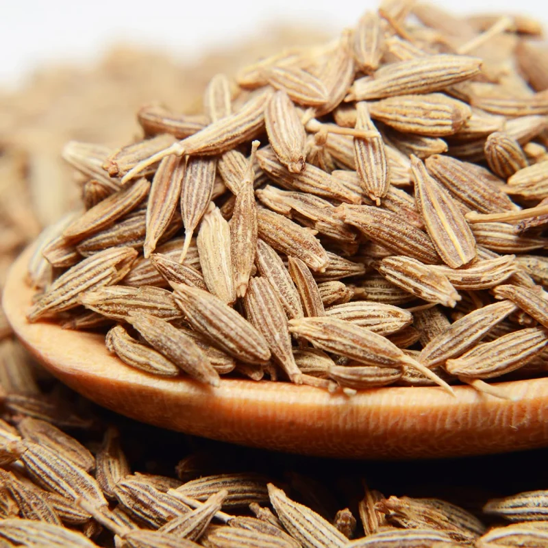 Cumin Seeds (Jeera)